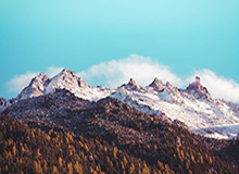 乐鱼体育-九游:开启你的游戏新世界